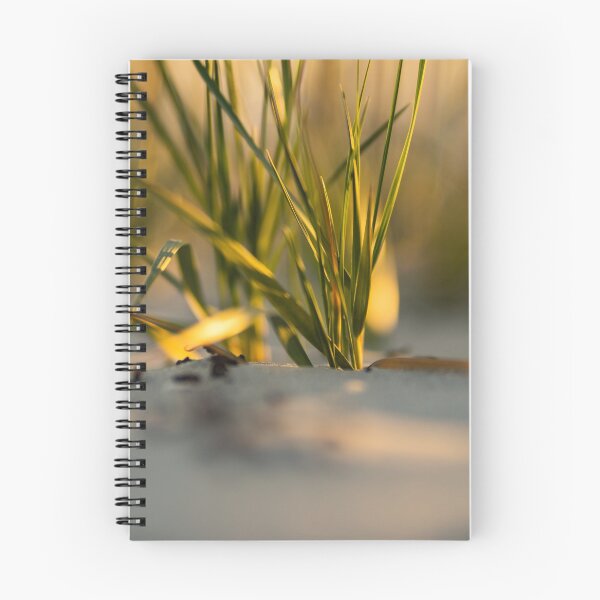Item preview, Beachgrass 13 designed and sold by KensLensDesigns.