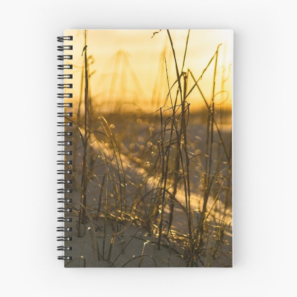 Item preview, Beachgrass 16 designed and sold by KensLensDesigns.