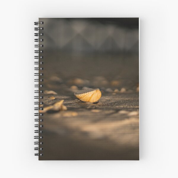 Item preview, Seashell at Sea 2 designed and sold by KensLensDesigns.