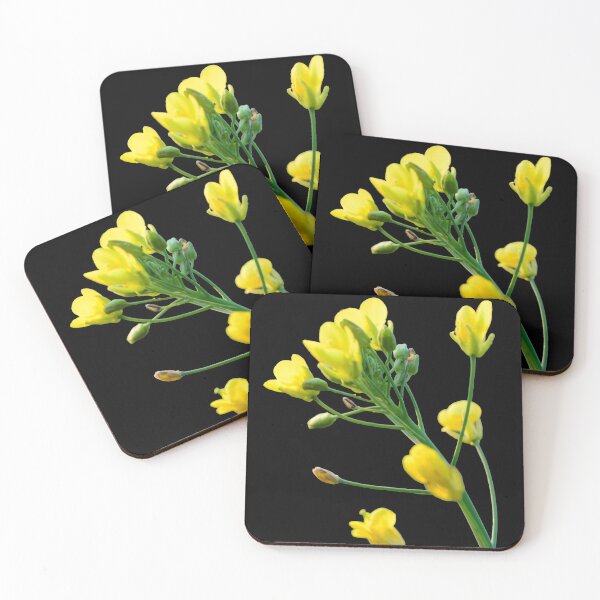 Item preview, Yellow mustard flower designed and sold by mrhighsky.