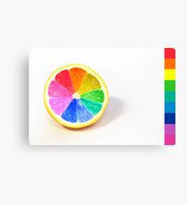 Pantone Colour Wheel Canvas Print