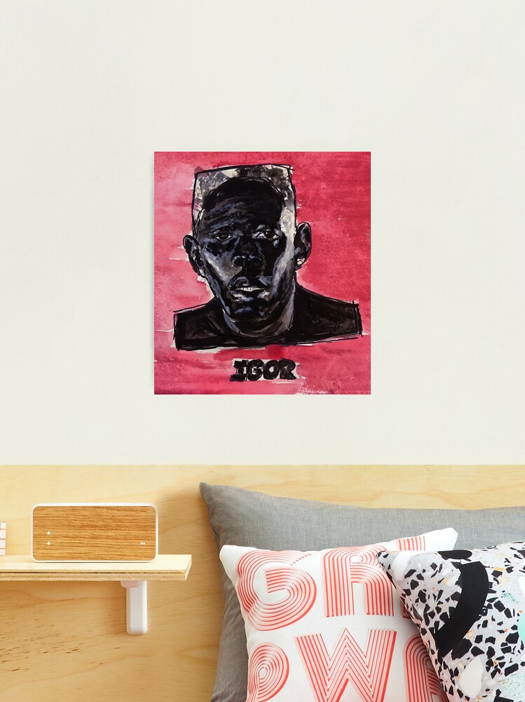 Tyler the Creator-IGOR Wall tapestry art – Wallart Cube Shop