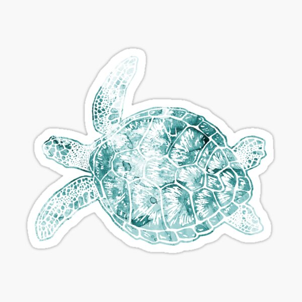Turtle Sticker