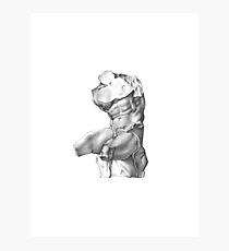 Bust Photographic Print