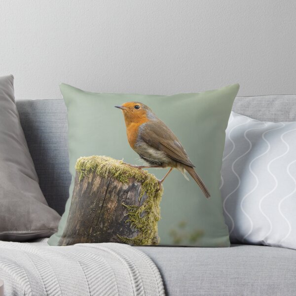 Item preview, Robin Redbreast designed and sold by iaintall.