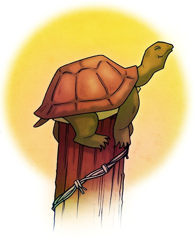 "Turtle on a Fence Post" by wellkeptsecret Redbubble