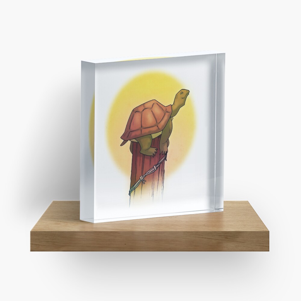 Turtle on a Fence Post Acrylic Block