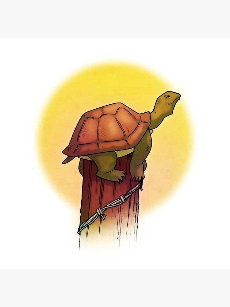 Turtle on a Fence Post by wellkeptsecret