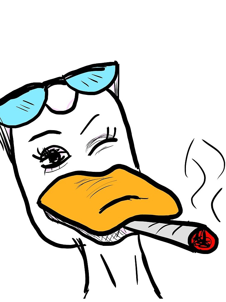 "Smoking Duck" Mini Skirt for Sale by moodymoon | Redbubble