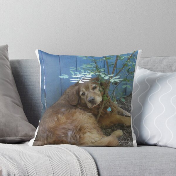 Item preview, Loki Hamming it UP designed and sold by goldnzrule.
