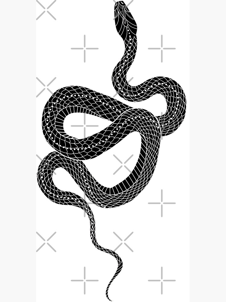 Snake Tattoos designs, themes, templates and downloadable graphic elements  on Dribbble