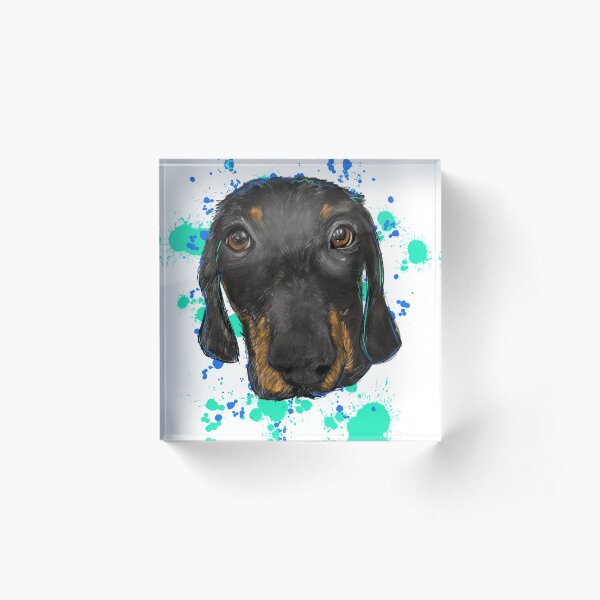 Finny Acrylic Block