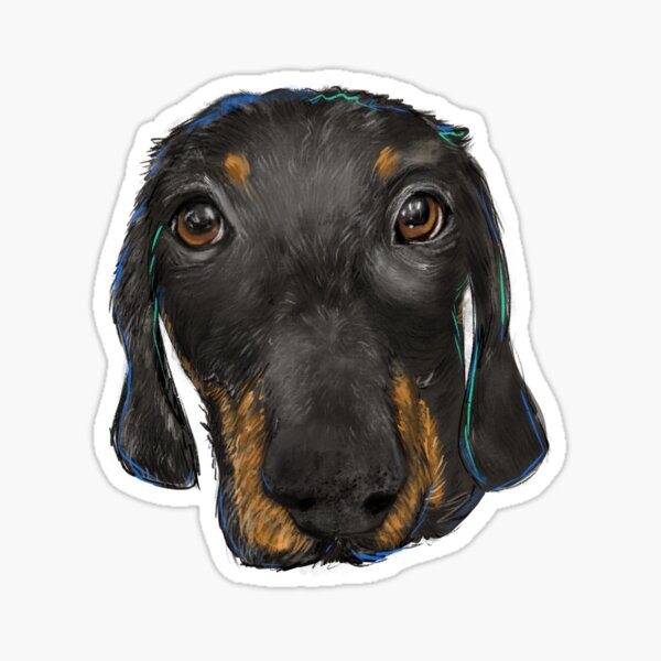 Finny Sticker