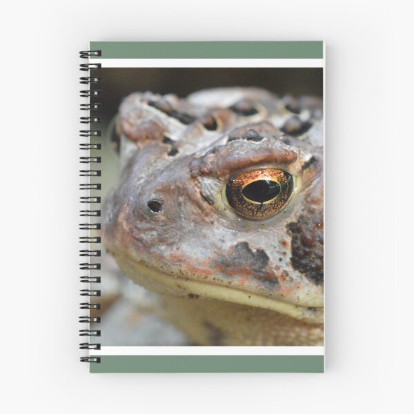 Item preview, American Toad designed and sold by LizardSpirit.