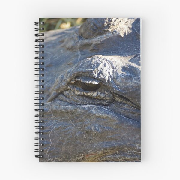 Item preview, Dinosaur designed and sold by Scott Dovey.