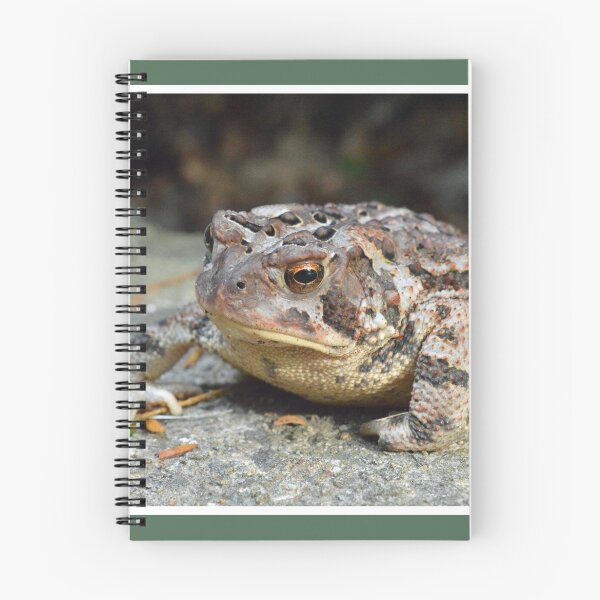 Item preview, Basking Toad designed and sold by LizardSpirit.