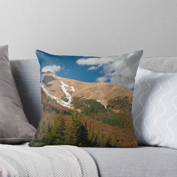 Item preview, Colorado Rockies II designed and sold by dlamb.