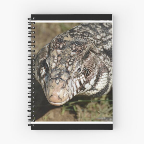 Item preview, Tegu designed and sold by LizardSpirit.