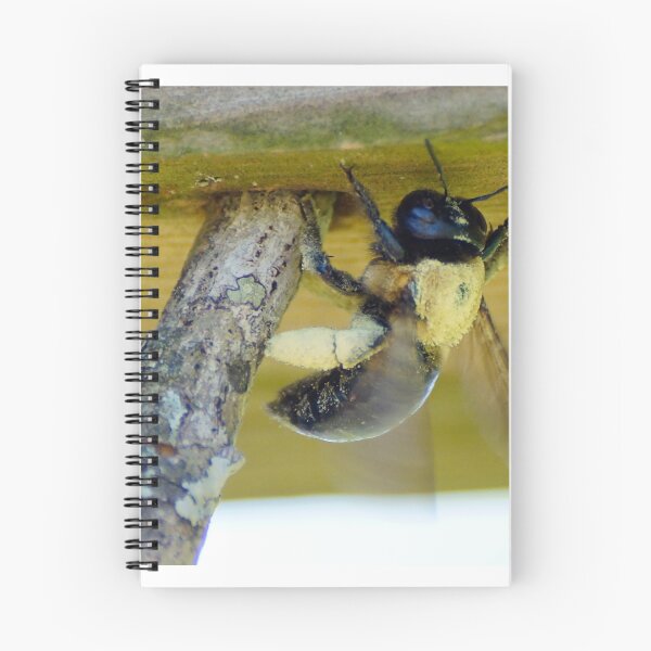 Item preview, Carpenter Bee designed and sold by Scott Dovey.