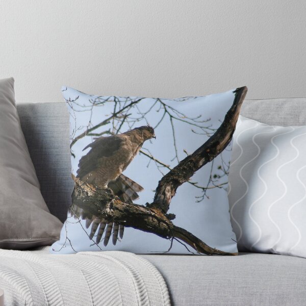 Item preview, COOPER'S HAWK designed and sold by Larry Trupp.
