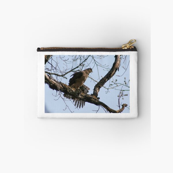 Item preview, COOPER'S HAWK designed and sold by Larry Trupp.