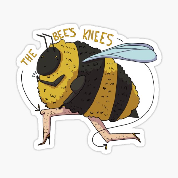 It's The Bee's Knees! Sticker