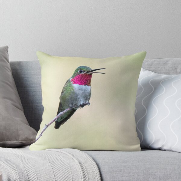 Item preview, Broad-tailed Hummingbird in Waterton Canyon designed and sold by Eivor Kuchta.