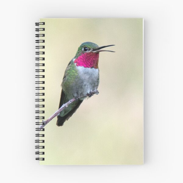 Item preview, Broad-tailed Hummingbird in Waterton Canyon designed and sold by Eivor Kuchta.