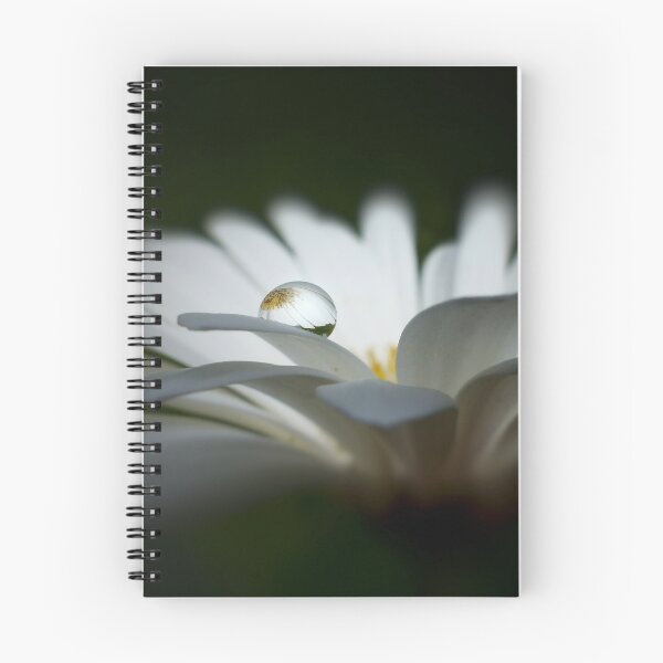 Item preview, Goutte d'eau sur fleur designed and sold by Sylvie Villeneuve.