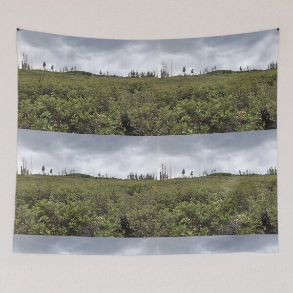 Item preview, Searching for caves designed and sold by Beau Gordon.