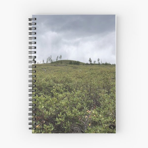 Item preview, Searching for caves designed and sold by Beau Gordon.