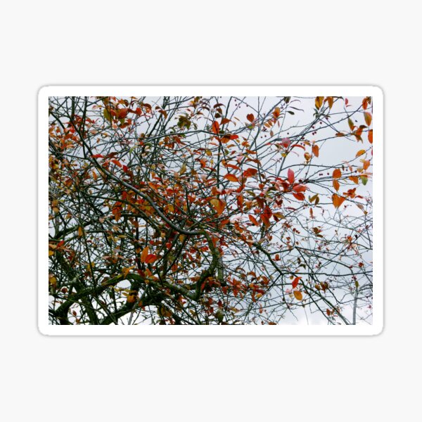 Tree Abstract 3 Sticker