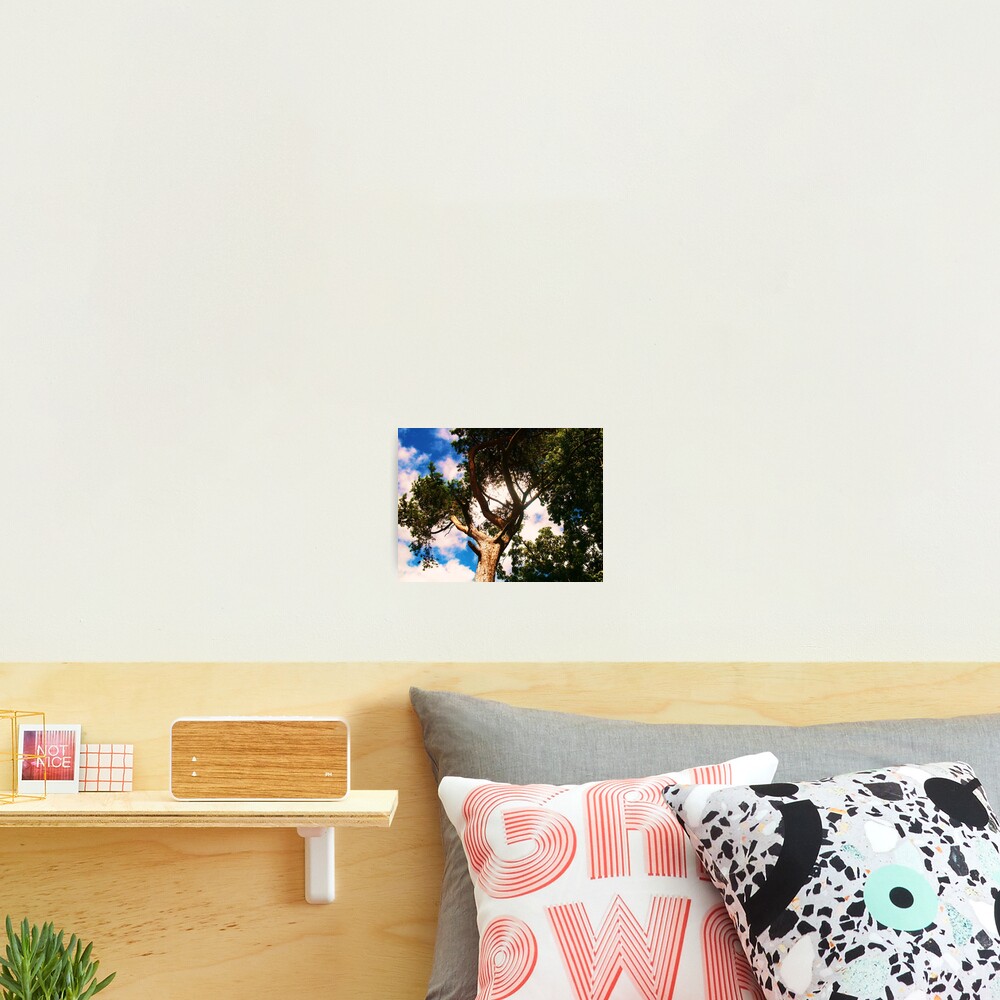 Item preview, Photographic Print designed and sold by EmilyMead.