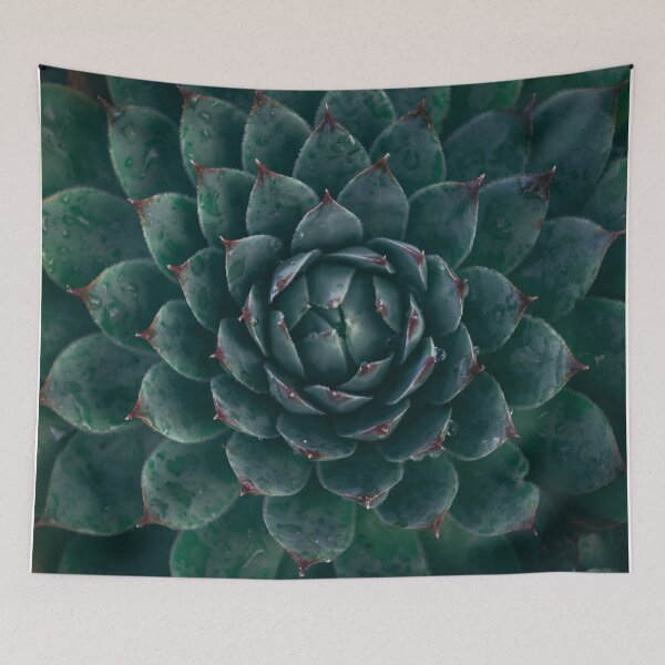 Item preview, Magnificent turquoise Succulent designed and sold by Incendiarius.