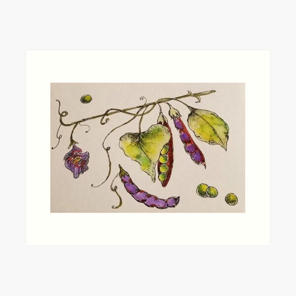 Item preview, Purple Pea Pod designed and sold by SHMomenee.