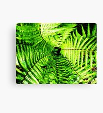 Spiraling Fern Leinwanddruck