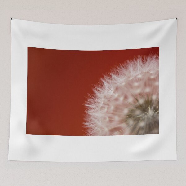 Item preview, Dent De Lion designed and sold by DiFigianoPhoto.