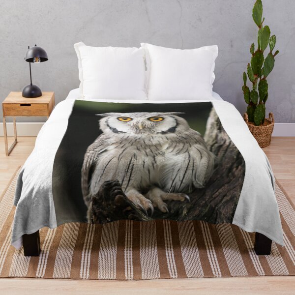 Item preview, Shops Owl designed and sold by DiFigianoPhoto.