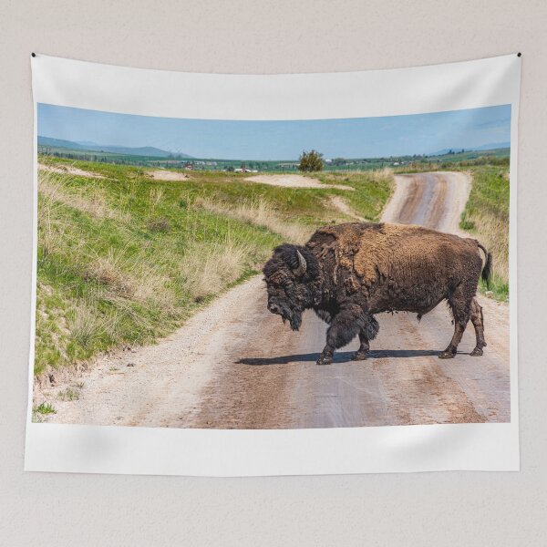 Item preview, Why did the Bison cross the road? designed and sold by Bryan Spellman.