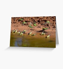 Time for a drink. Greeting Card