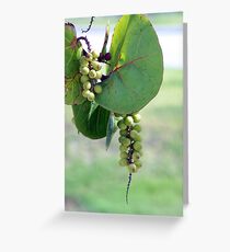 Shore plant Greeting Card