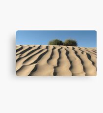 Dune Shrubs Canvas Print