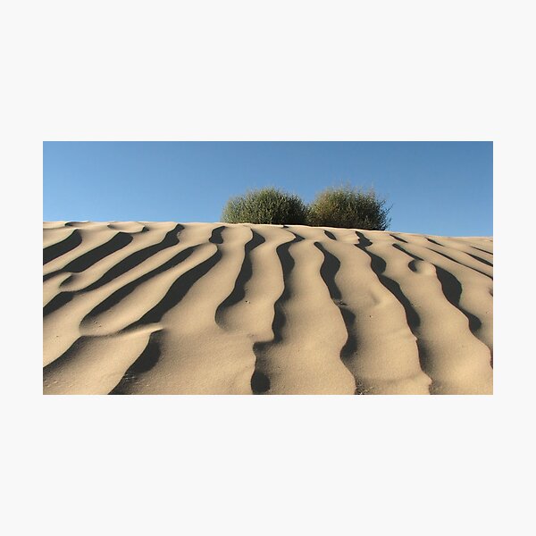 Item preview, Dune Shrubs designed and sold by David Kocherhans.