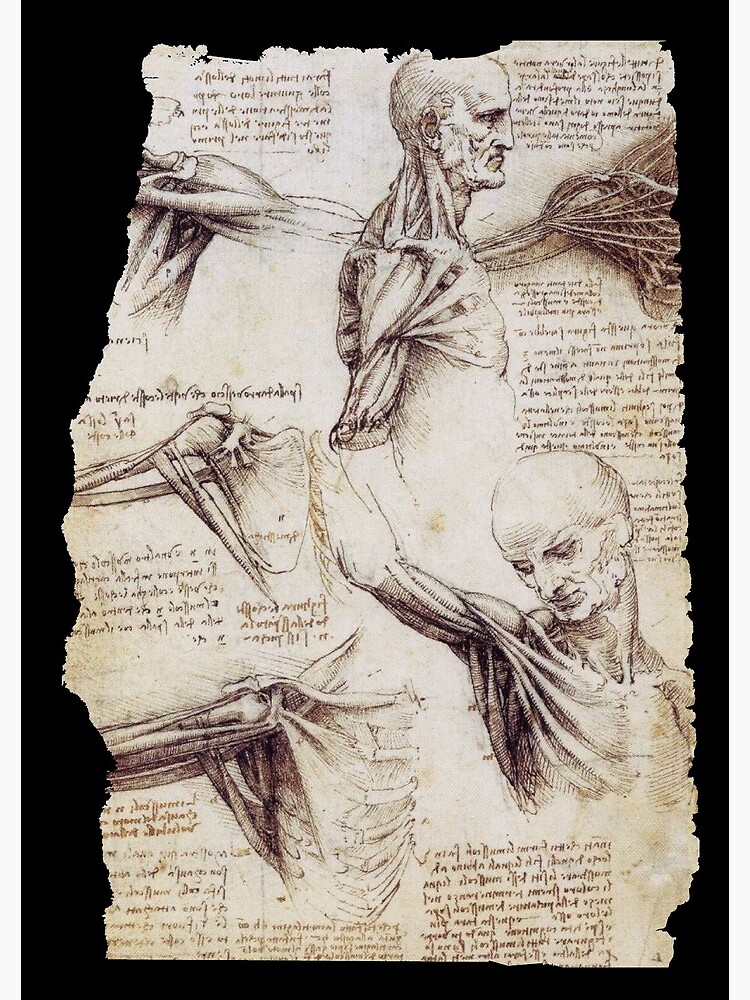 "Leonardo Da Vinci Anatomical Drawings" Spiral Notebook for Sale by