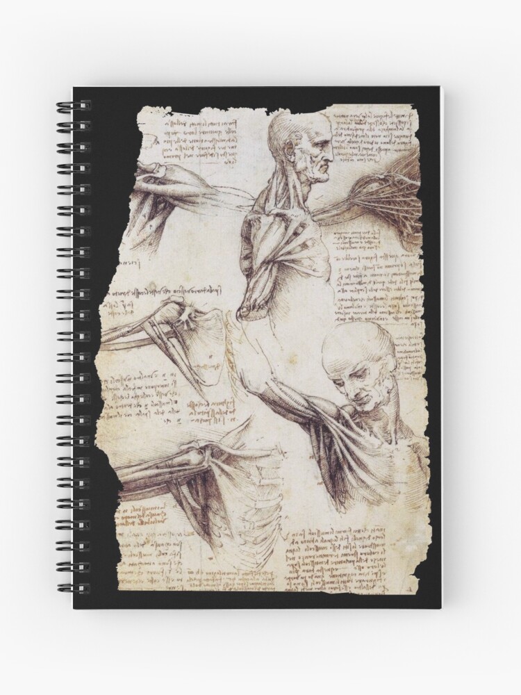 What's inside Leonardo da Vinci's notebooks?