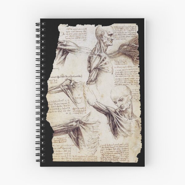 Item preview, Dibujos anatómicos de Leonardo da Vinci designed and sold by Persona-.