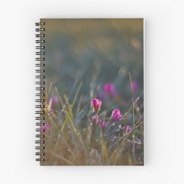 Item preview, Despertar la primavera designed and sold by Fabio Viola.