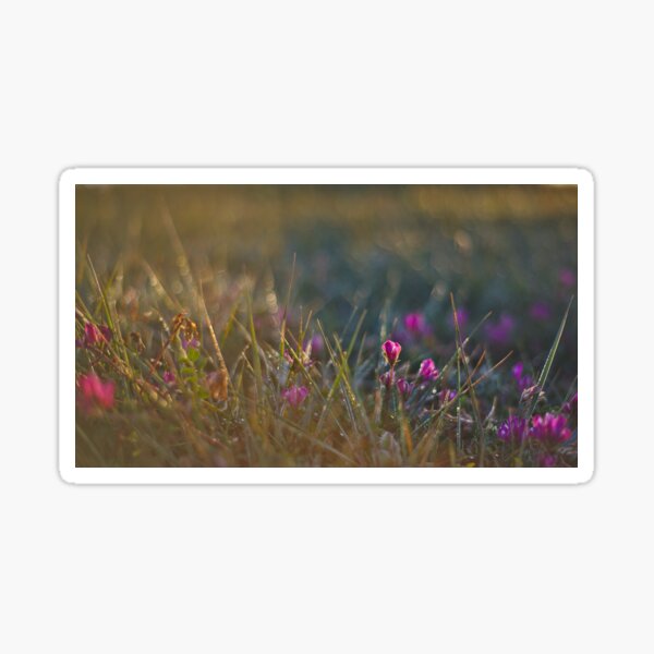 Awakening spring Sticker
