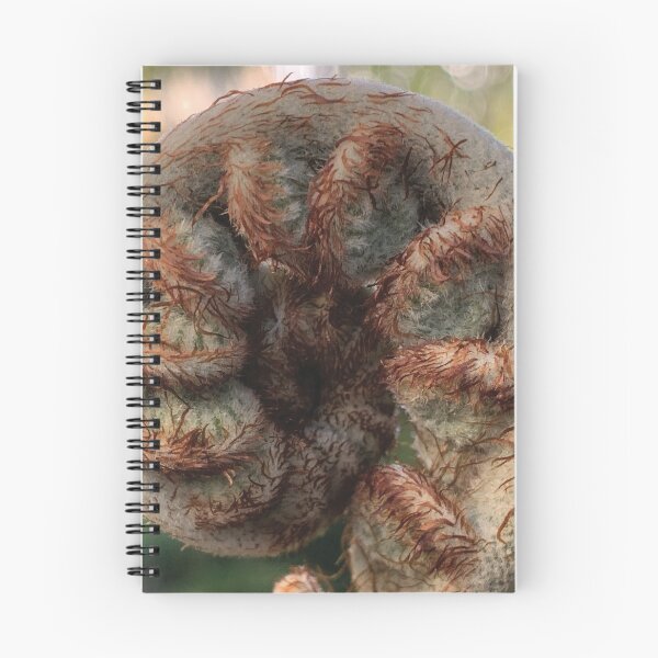 Item preview, Coiled Australian Tree Fern Branch designed and sold by Gubbz.