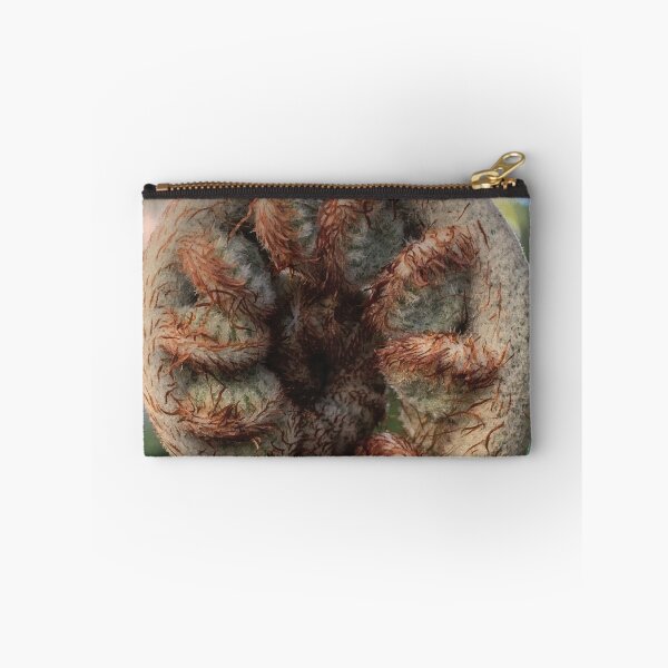 Item preview, Coiled Australian Tree Fern Branch designed and sold by Gubbz.